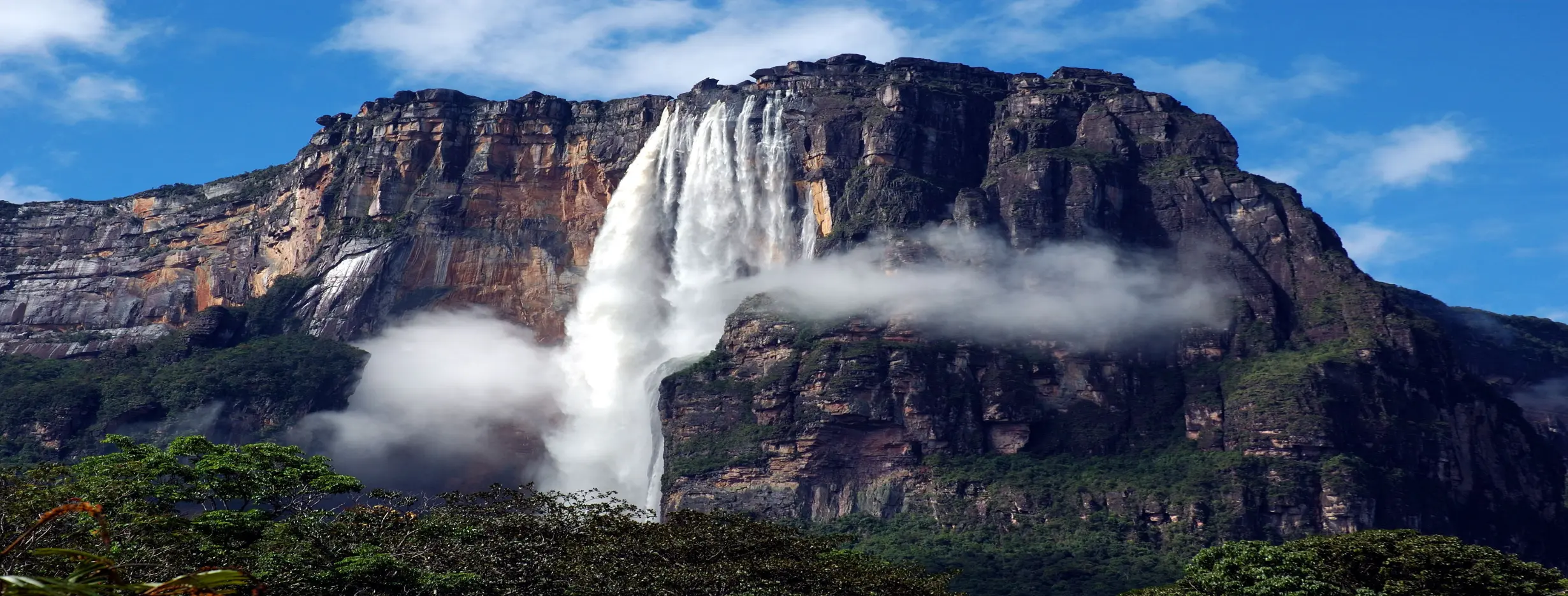 Image for Andean Highlands